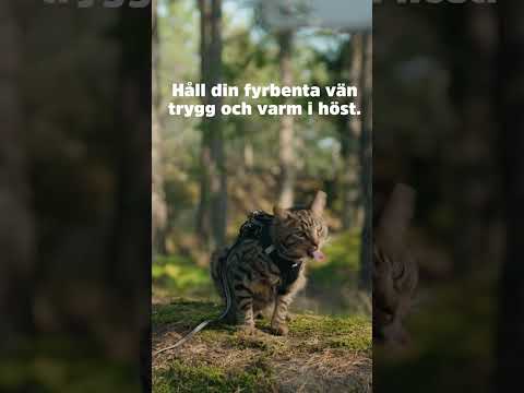 En trygg och varm höst | Arken Zoo