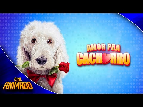 Amor Pra Cachorro • Desenho Animado • Filme de Animação GRÁTIS | ???? ???????