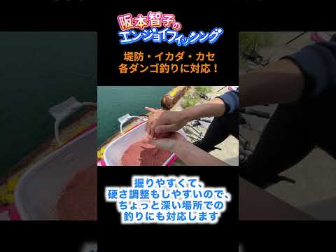 【ウキダンゴ釣り】チヌを寄せる決定的一投!筏で炸裂🔥