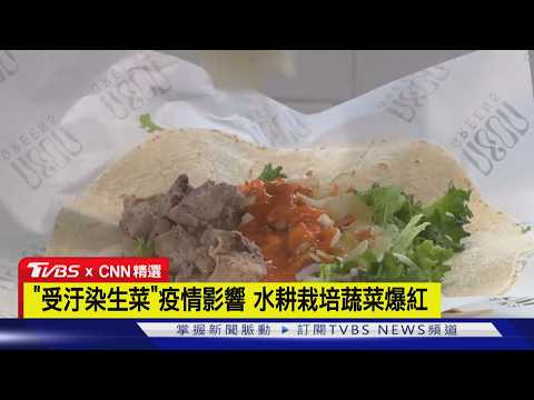 【CNN精選】美生菜「環孢子蟲病」疫情延燒　消費者轉買在地種植萵苣｜TVBS新聞 @TVBSNEWS01