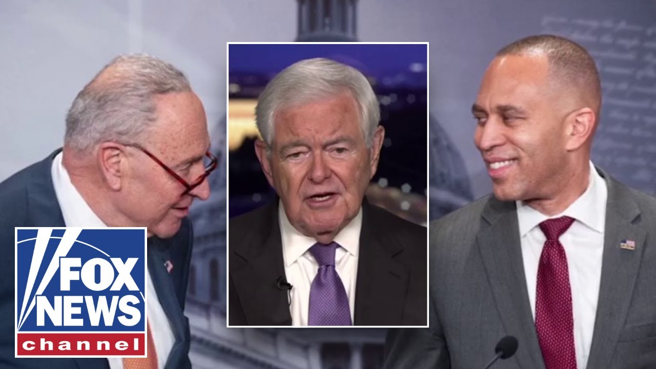 'THIS IS INSANITY': Newt Gingrich ridicules Dems' handling of shutdown on Capitol Hill