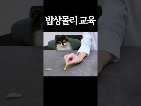 밥상'몰리'교육