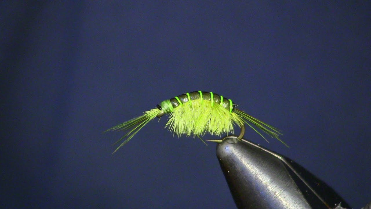 Holsinger fly shop