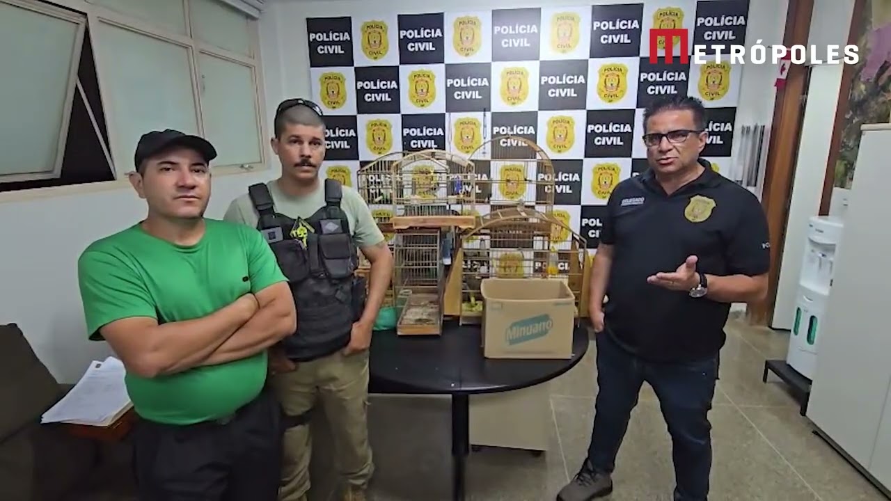 PCDF resgata aves silvestres que seriam usadas para tráfico