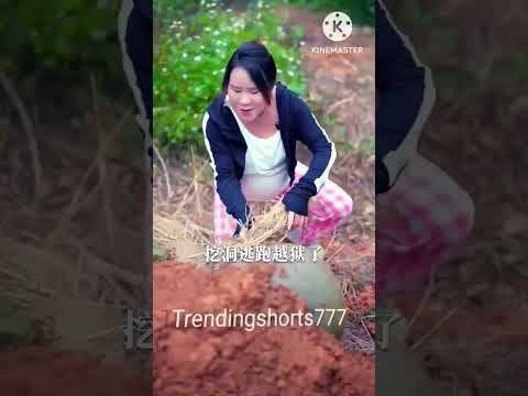 🐇 खरगोश का घर बनाने वाले वीडियो के#KhargoshKaGhar #RabbitHouse #JungleVideo #AnimalStory #RabbitHome