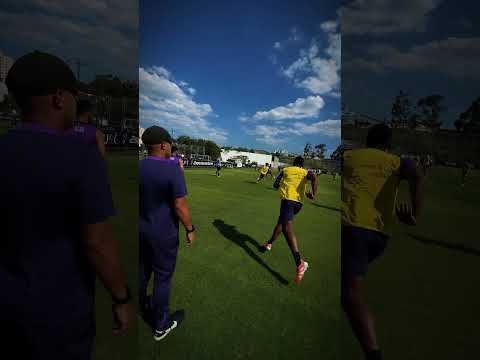 image para ilustrar o artigo