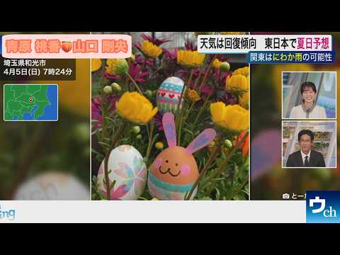 【魚住茉由×青原桃香×山口剛央】うさ耳【ウェザーニュース】