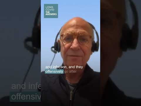 Dr David Kaufman MD explains about the ancient warriors that live in your immune system ❤️ #longcov