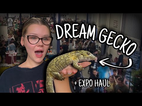 I got my DREAM GECKO!.. | IHS Reptile Expo Haul