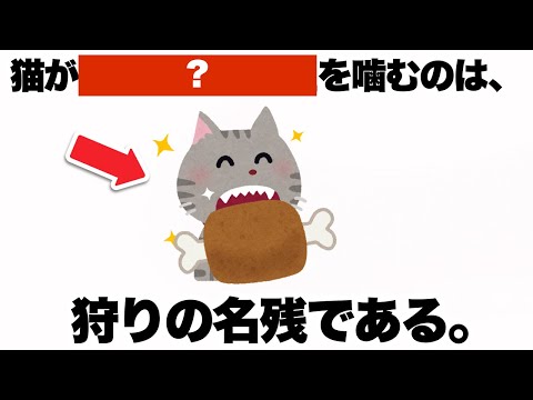猫が寝ている飼い主を噛むのは、狩りの名残である。 #1分間 #猫のいる暮らし #猫 #雑学聞き流し