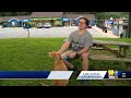 Get waived adoption fees through these 2 campaigns(WBAL) - 02:03 min - News - Video