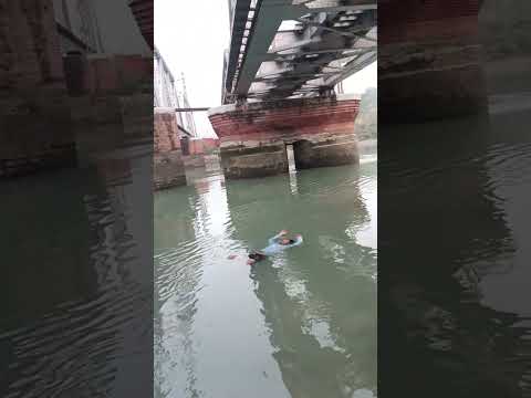 #song #swimming #swimmer