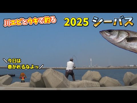 シーバス ウキ釣り 2025 第五戦 やっと釣れました