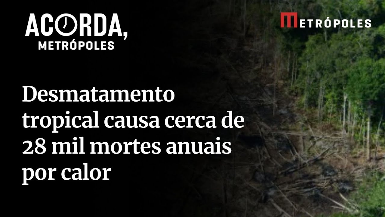 Desmatamento tropical causa 28 mil mortes anuais por calor segundo nova pesquisa da Fiocruz