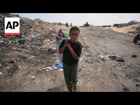 Displaced Palestinians struggle to find food in Gaza Strip