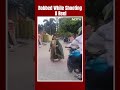 Chain Snatching | She Was Shooting A Reel When A Biker Snatched Her Chain  - 00:32 min - News - Video
