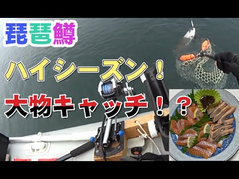 漁期は残りわずかのビワマス釣り!ラストスパート