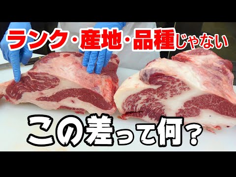 牛のお母さん【経産牛って知ってる？】肉屋が２つの和牛の違いを解説。