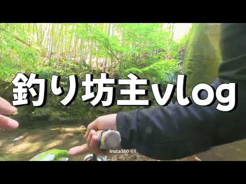 【山口県渓流釣り】イワナ狙いで新規開拓に行ったら…