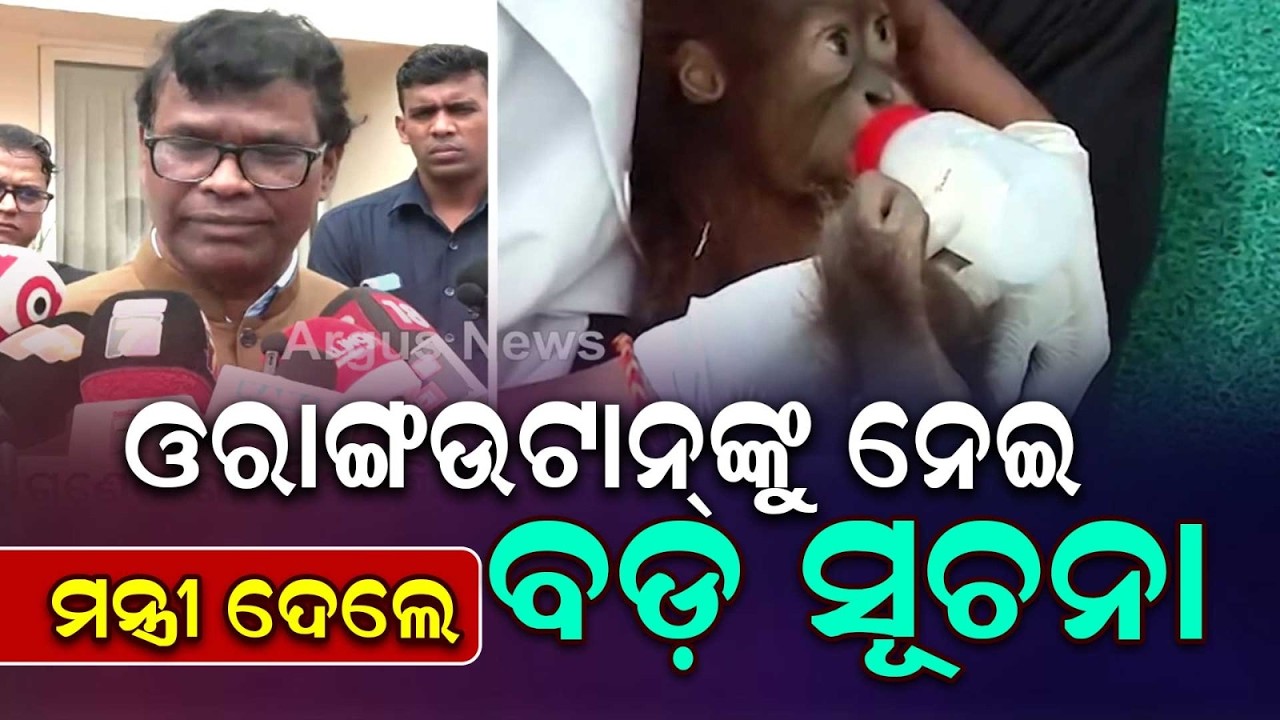 Balasore Orangutan Probe Accelerated; Minister Seeks CZA Permission For Nandankanan | Argus
