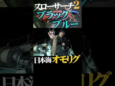 【日本海オモリグ】スローサーチ2・ブラックブルーで怒涛の連続ヒット！日本海超オススメカラー！ #釣り #fishing #イカメタル #オモリグ