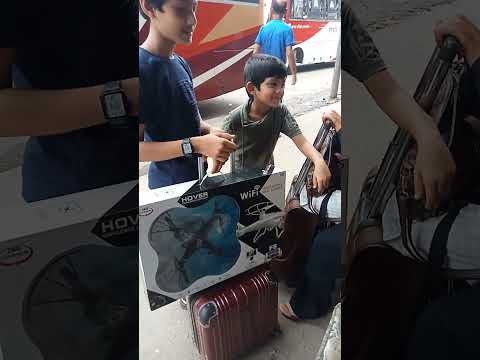 Love of Cat and Kitten.