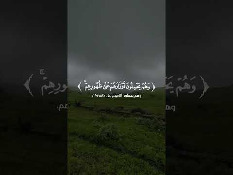 سورة الأنعام | القارئ : عمر عبد الله
