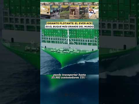 Así es el Buque Más grande del Mundo creado por Samsung H.I 😮