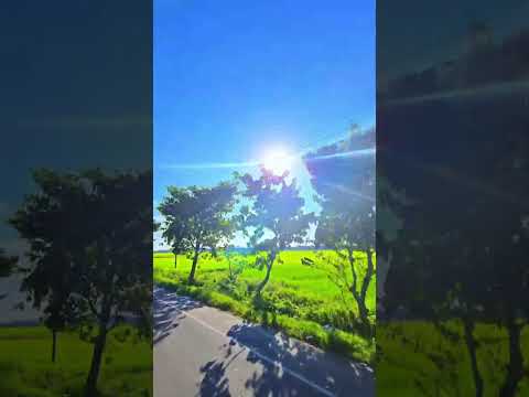 #nature #highlights #viralvideo #love #youtubeshorts