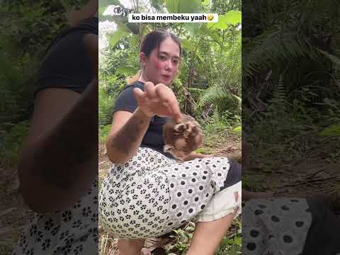 #getahkaret #shortsfeed #shorts #viral #cute #waterfall #humor #outfit #funny #comedy #vlog