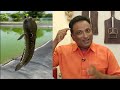 Tradition to eat Fish Curry on this special day. So made Fish Curry in tamarind Sauce spicy hot - 06:01 min - News - Video