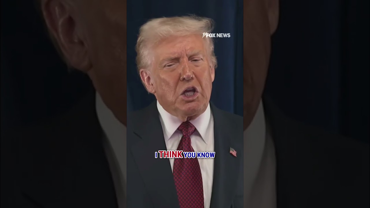 WATCH: President Trump says Dems have become 'radicalized lunatics' #shorts