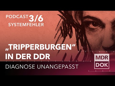 Diagnose Unangepasst - Albtraum Tripperburg | Folge 3: Systemfehler | PODCAST | MDR DOK