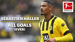 Sébastien Haller — All Bundesliga Goals