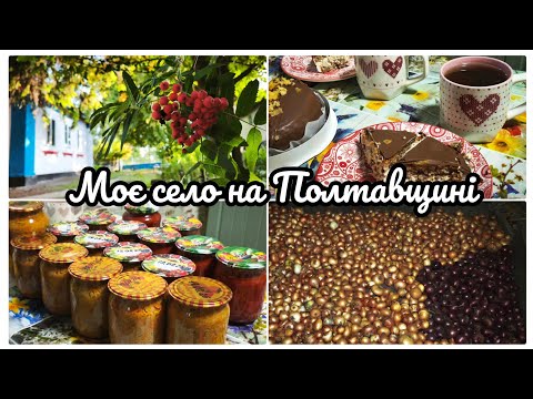 Лечо без оцту// Заготовка з ранньої капусти// Про зберігання цибулі//@Moie_selo_na_Poltavshchyni