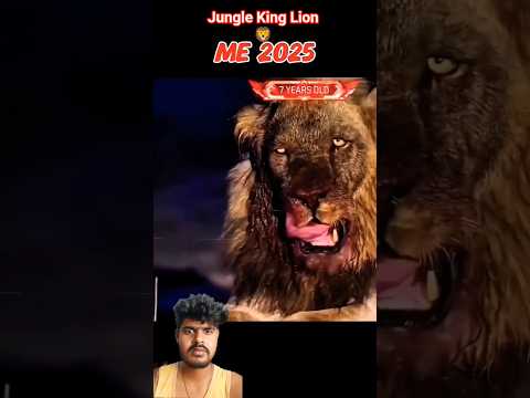Lion Aura💪 #jungle #king #hunter #short #animals #shorts #aura #moments #power #shortsfeed #lion