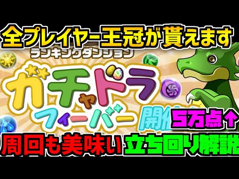 ガチャドラフィーバー立ち回り解説！誰でも王冠！周回も解説！【パズドラ】