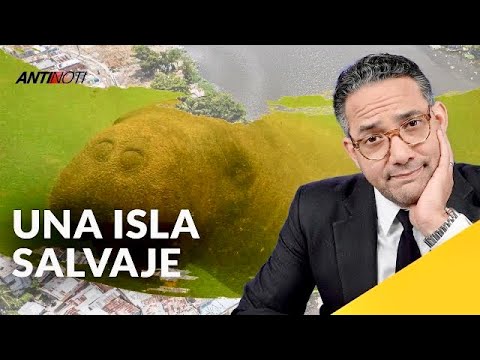 La Manatí Juanita En Una Isla Salvaje [Editorial] | Antinoti