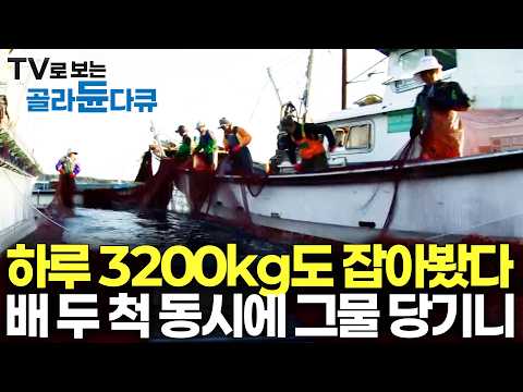 그물 하나 올렸더니 고기가 역대급 많이 잡혔다. 포인트 자리잡고 동시에 그물 끌어올렸더니｜제주 자리돔잡이｜극한직업｜#골라듄다큐