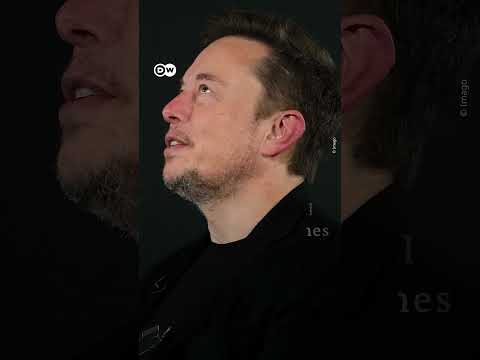 Elon Musk took illegal drugs with Tesla board members | DW News