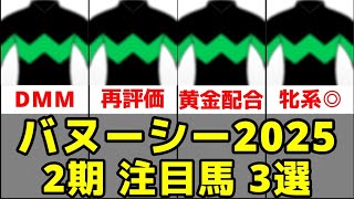 【バヌーシー】2025年度2期狙い目募集馬3頭の評価【ミスセレンディピティ24/カールファターレ24】