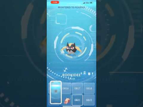 ホビーの動画サムネイル - ✨NEW Shiny Rookidee CAUGHT in Pokemon Go!✨ #shorts #pokemon