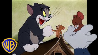 Tom a Jerry - Valentnski kamoi