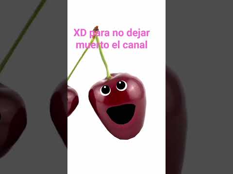 25 de octubre de 2025