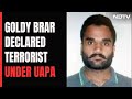 Gangster Goldy Brar Declared Terrorist By India