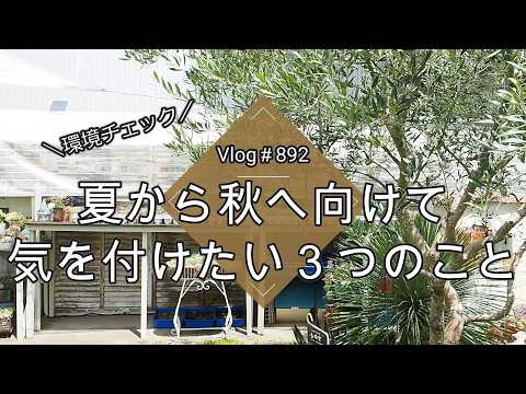 【Vlog892】【多肉植物】夏から秋へ向けて今から気を付けたい多肉管理３つのポイント【環境チェック】【多肉の育て方】
