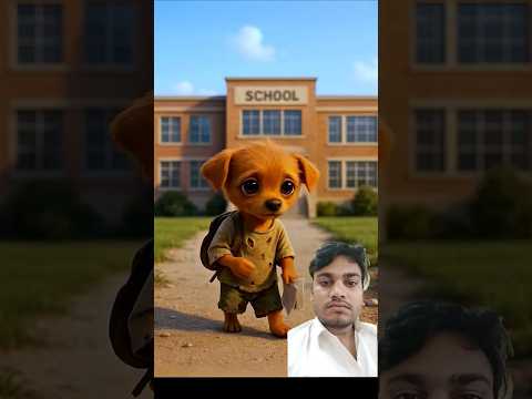 The poor puppy didn't have School Dress #shortsfeed #animals #animal #dog #dogshorts #trending