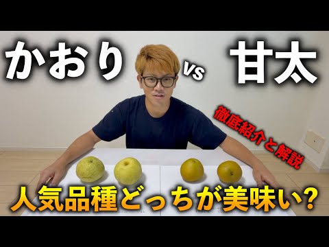 【超人気品種】かおり梨と甘太梨の徹底解説と食べ比べ!甲乙つけ難い頂上決戦!!!!!