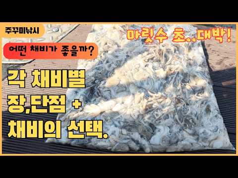 주꾸미 낚시 - 각 채비별 장,단점과 채비의 선택 과정