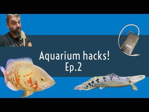 Aquarium hacks ep.2 More hacks to make your life a little easier!!